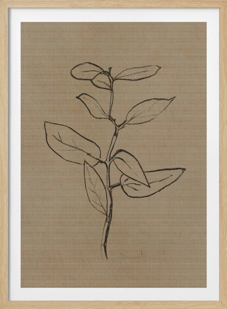 Eucalyptus Sapling | Poster