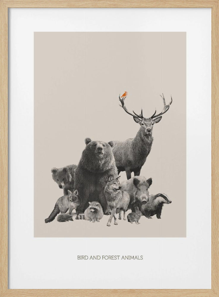 Bird and Forest Animals | Poster