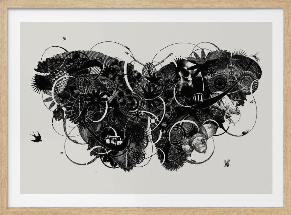 Butterfly 3 | Poster