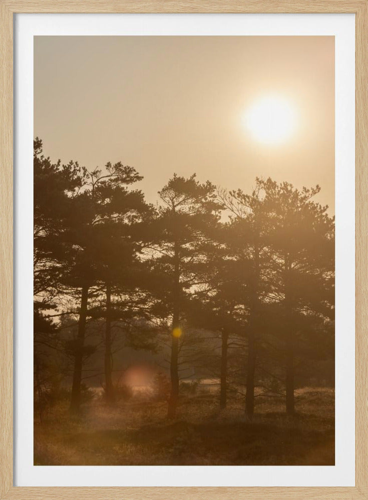 A Morning Scene 5 | Poster