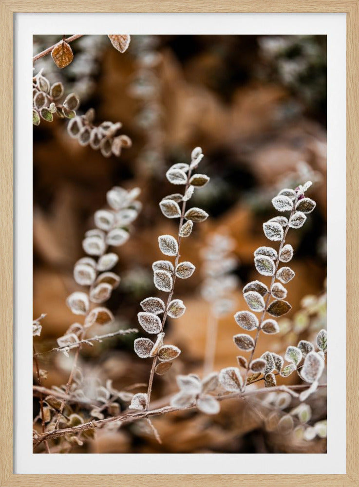 A Winter Morning 2 | Poster