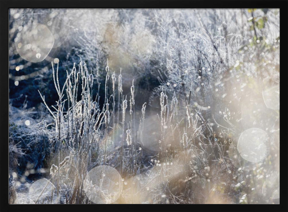 A Winter Morning 3 | Poster