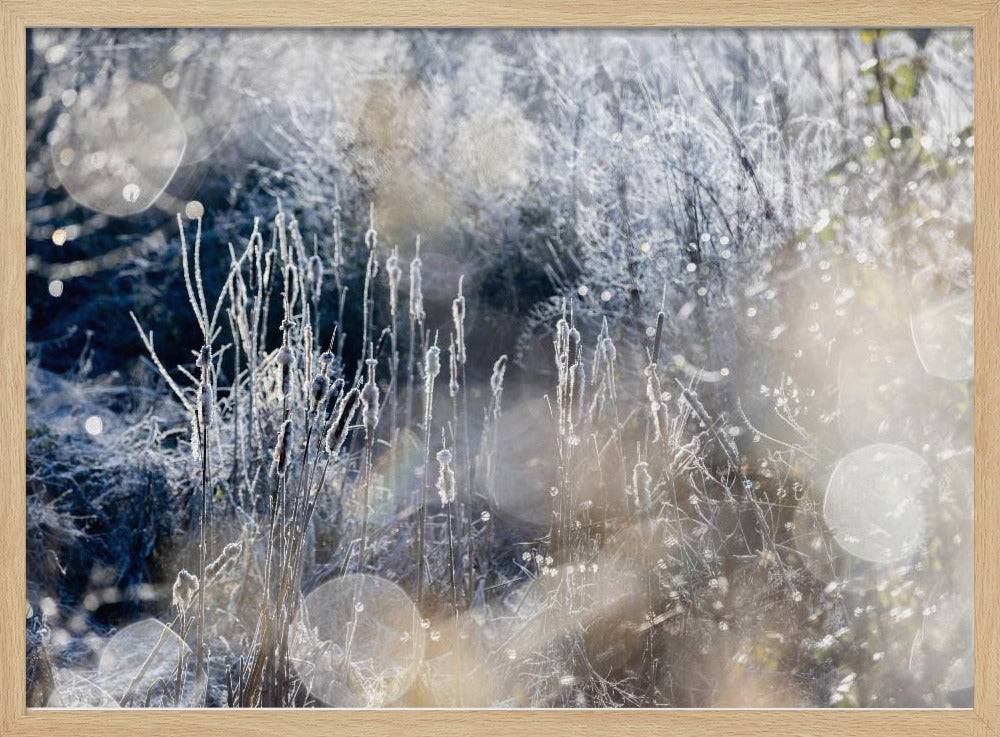 A Winter Morning 3 | Poster