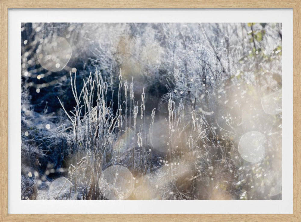 A Winter Morning 3 | Poster