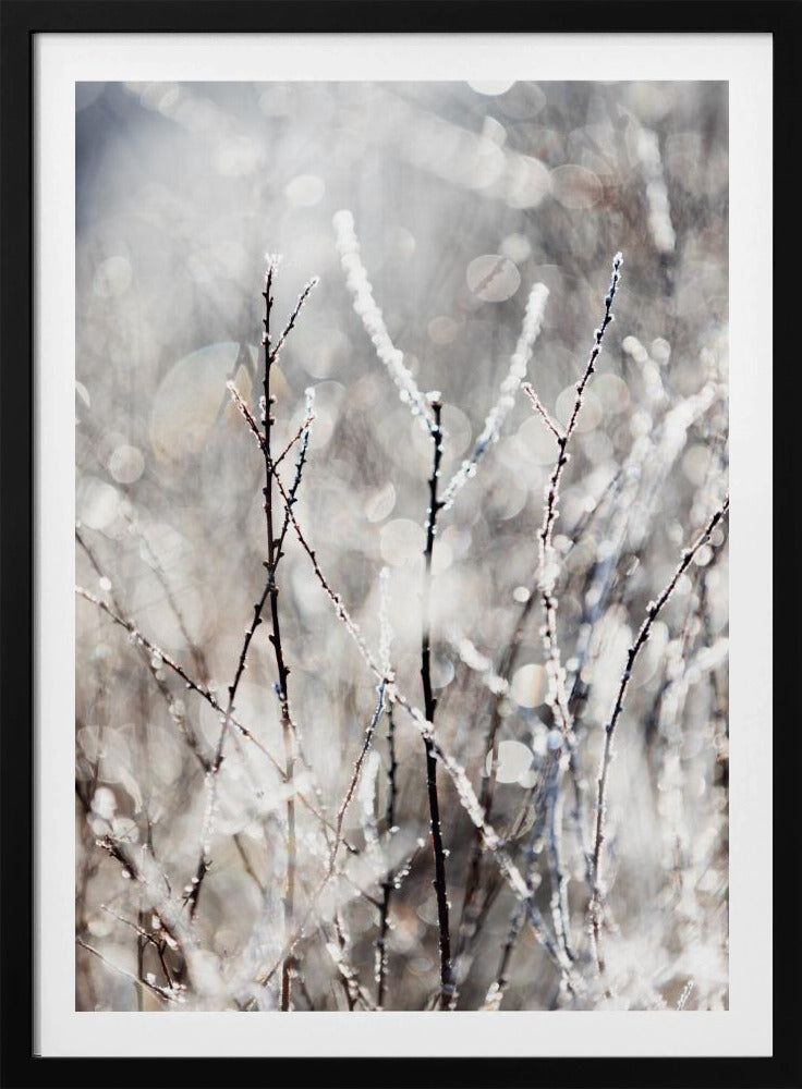 A Winter Morning 4 | Poster