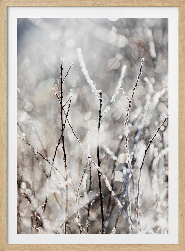 A Winter Morning 4 | Poster