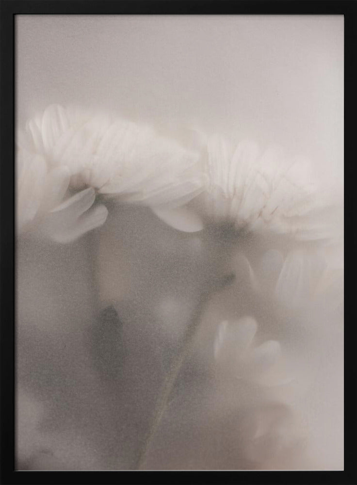 Blurred Flowers 2 | Poster