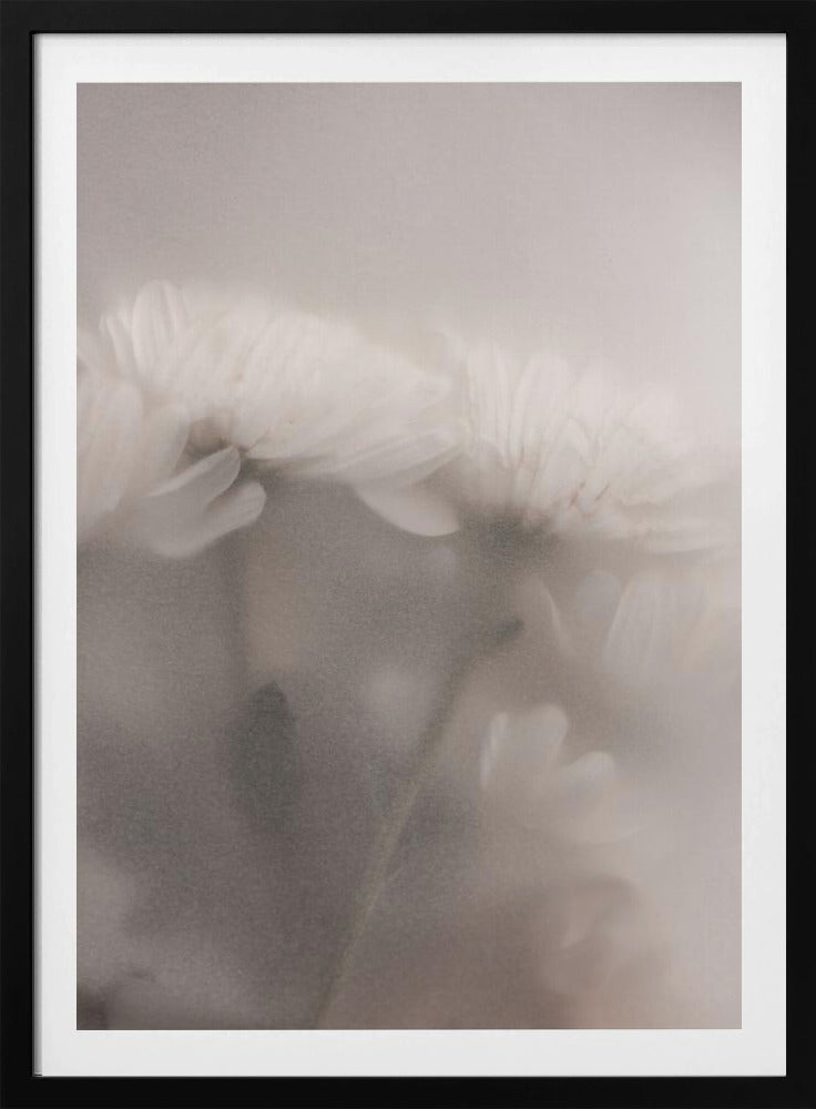 Blurred Flowers 2 | Poster