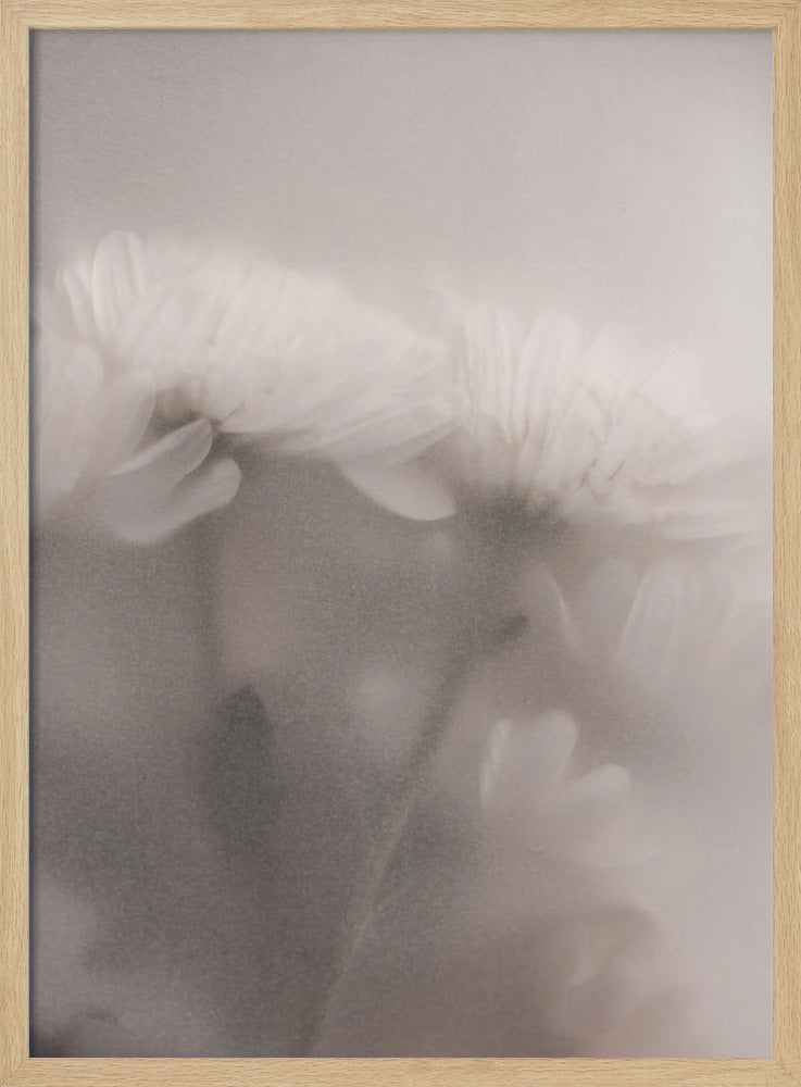 Blurred Flowers 2 | Poster