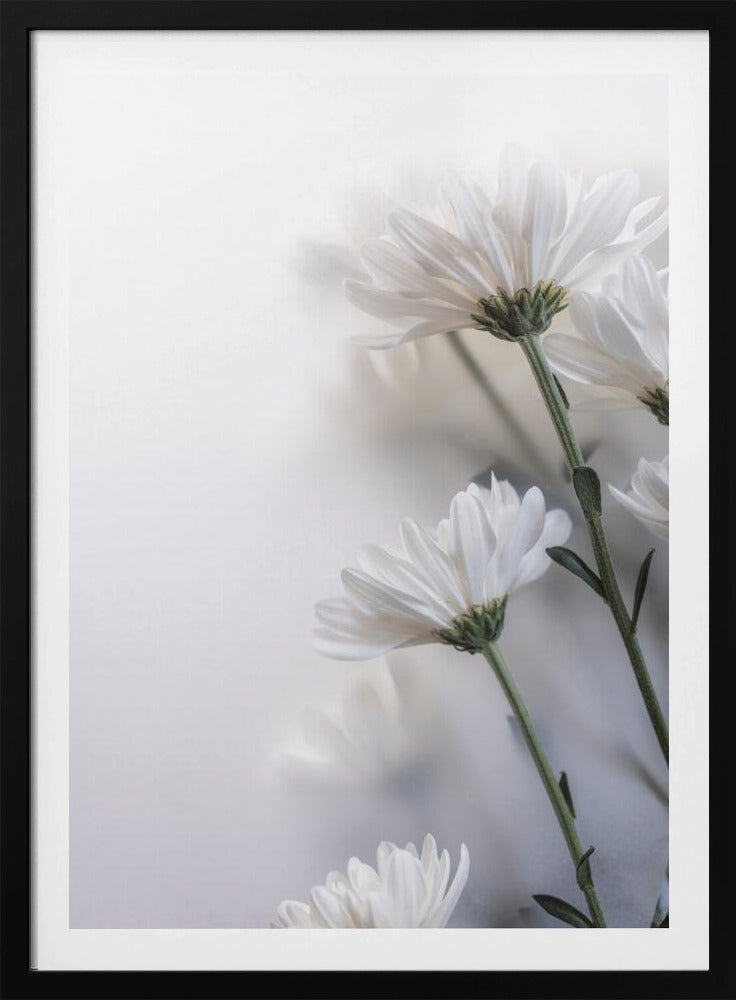 Blurred Flowers 8 | Poster
