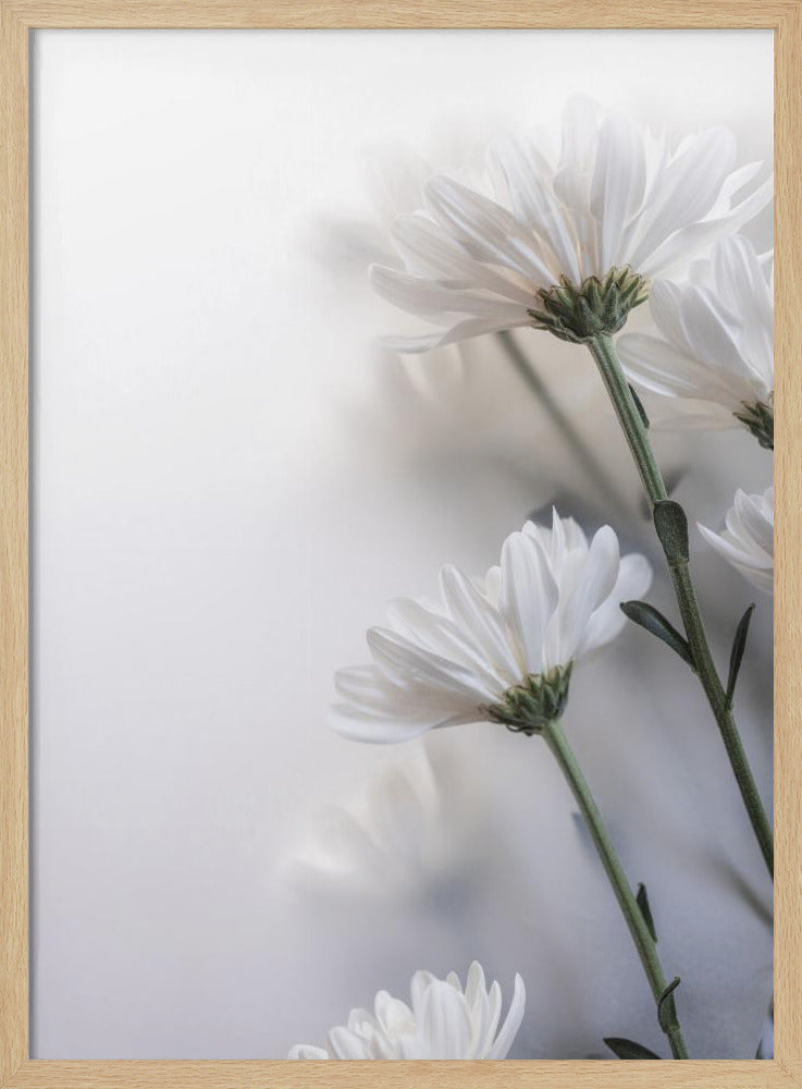 Blurred Flowers 8 | Poster
