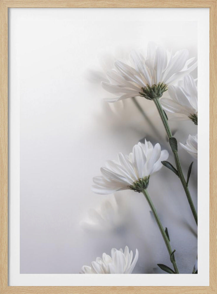 Blurred Flowers 8 | Poster