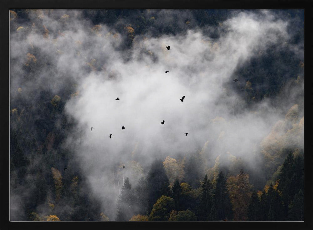 Foggy Woods 8 | Poster