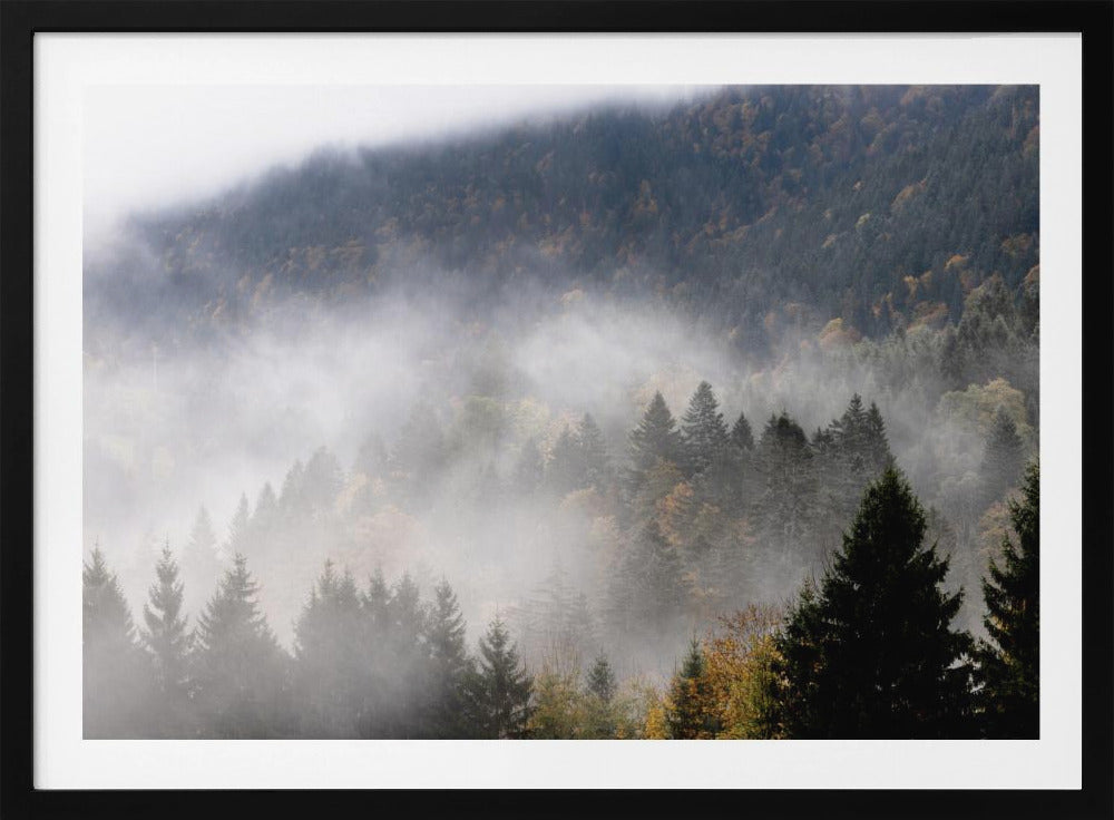 Foggy Woods 9 | Poster