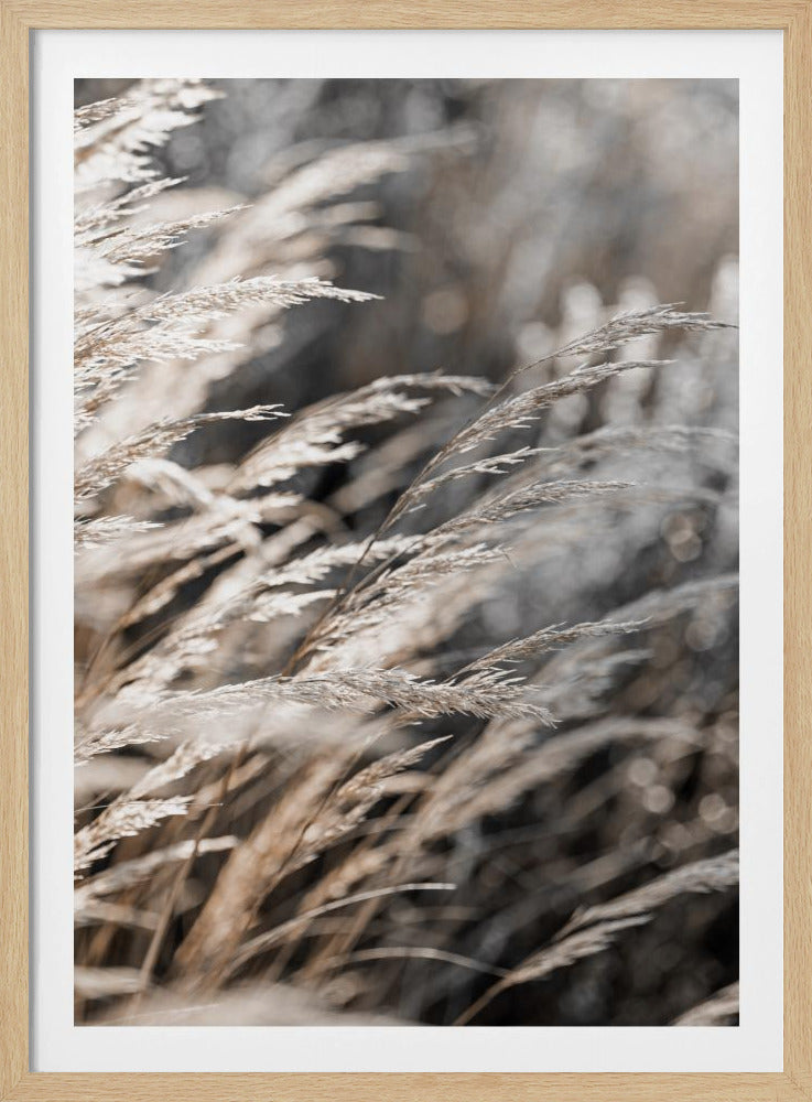 Grass 28 | Poster