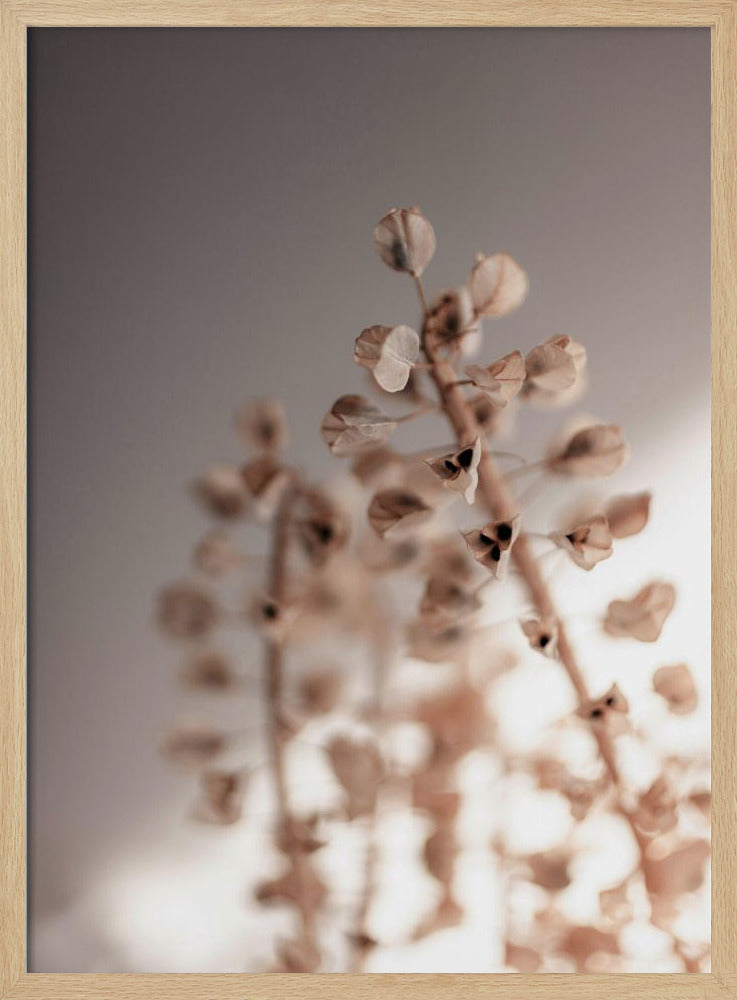 Last Summer 32 | Poster