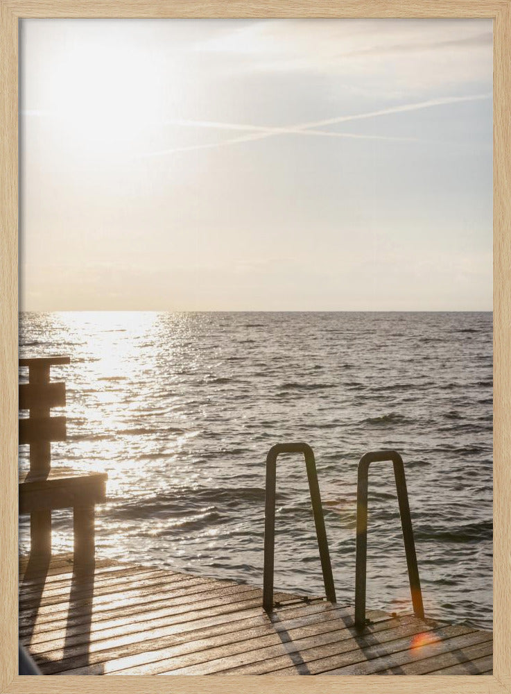 Summer Morning Swim | Poster