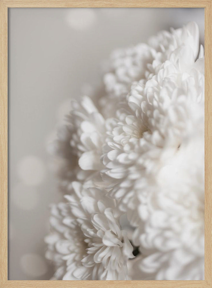 White Flowers | Poster