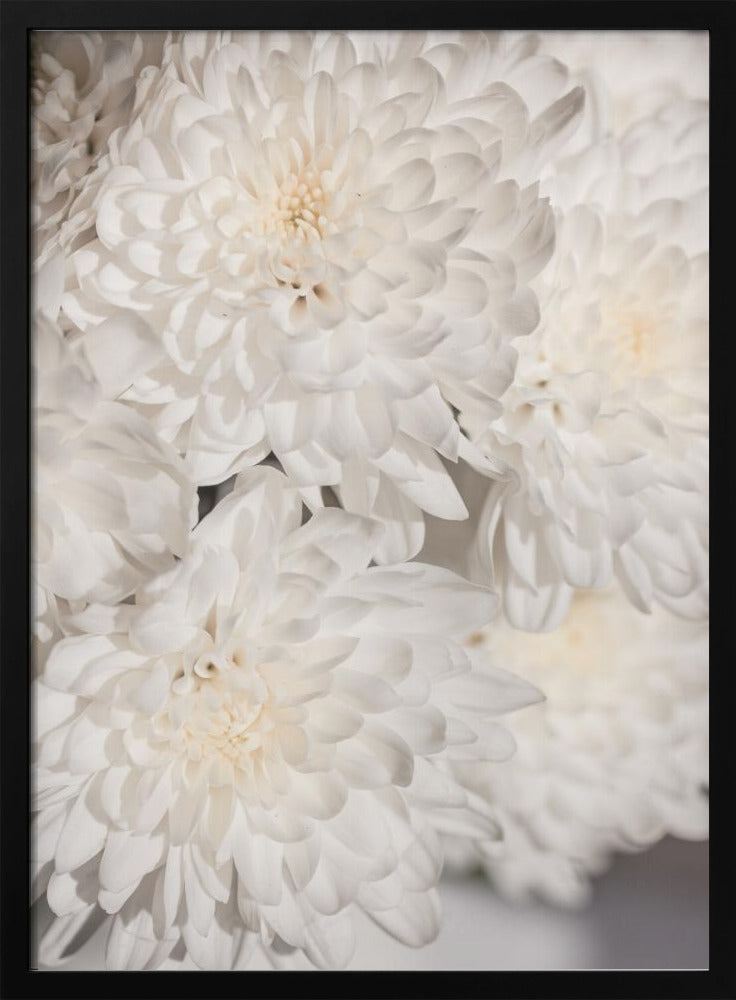White Flowers 2 | Poster
