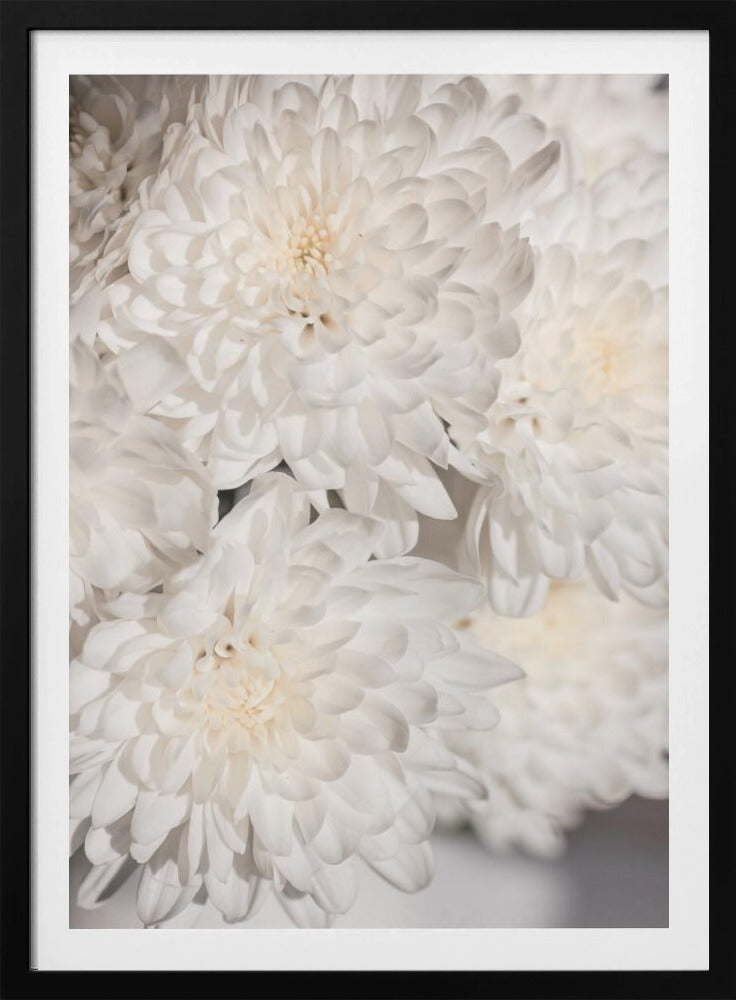 White Flowers 2 | Poster