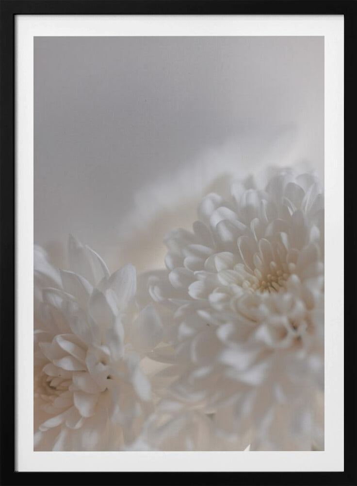 White Flowers 3 | Poster