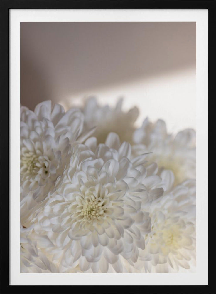 White Flowers 6 | Poster