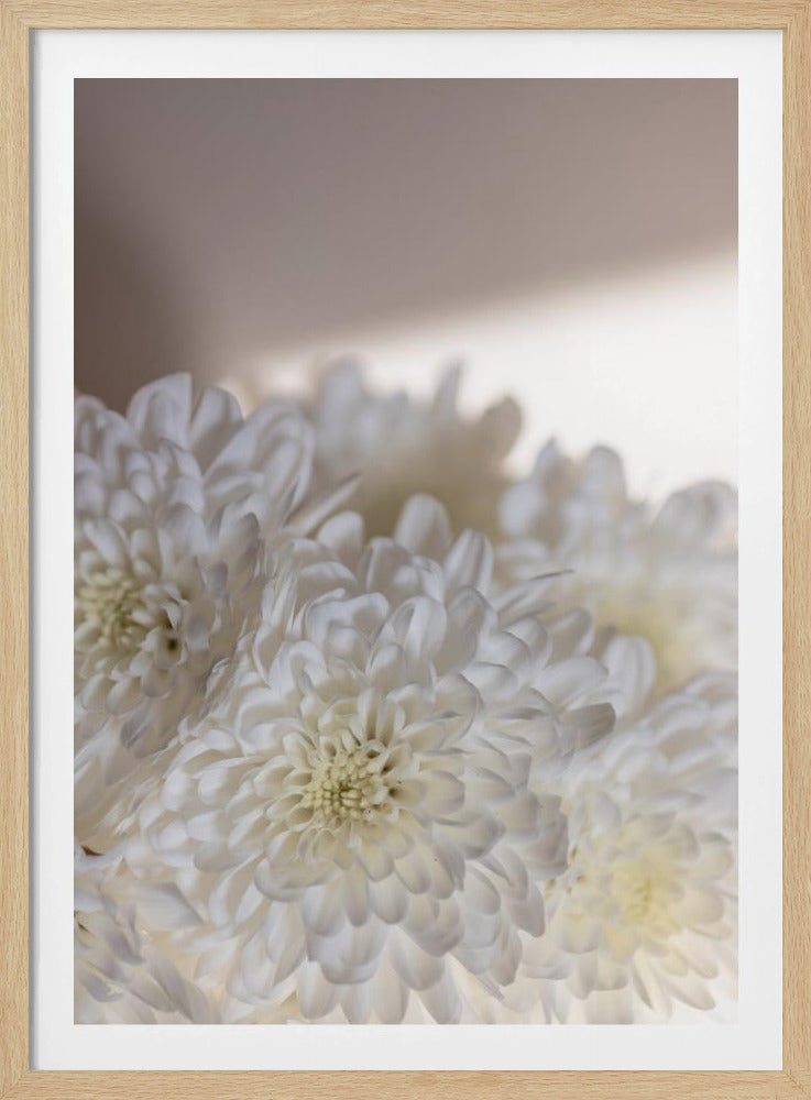 White Flowers 6 | Poster