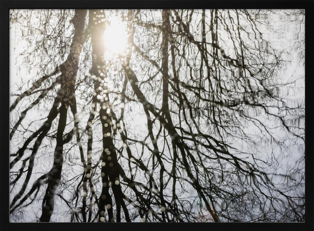 Winter Reflections 3 | Poster