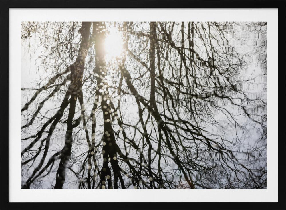 Winter Reflections 3 | Poster