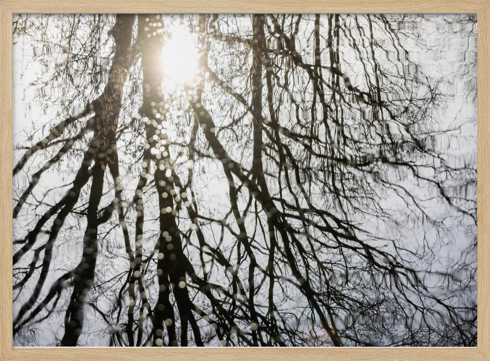 Winter Reflections 3 | Poster