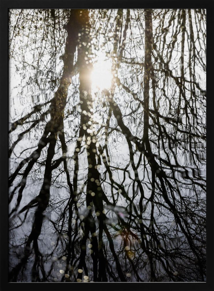 Winter Reflections 4 | Poster