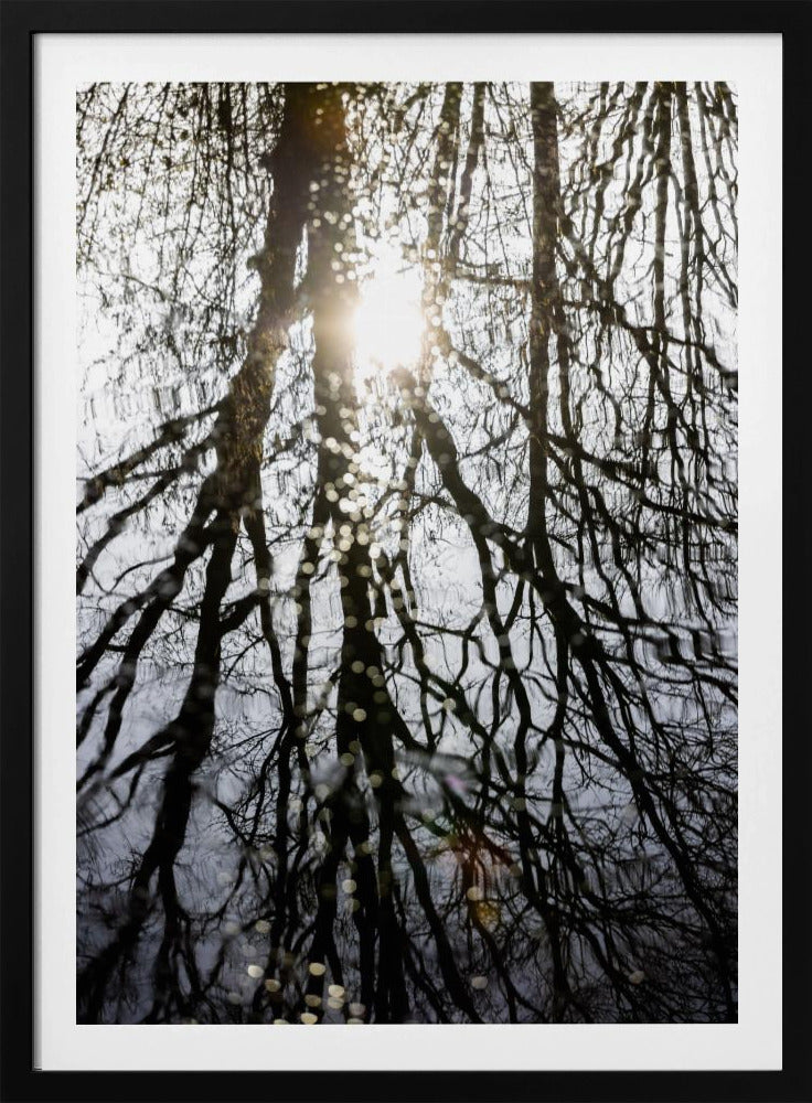Winter Reflections 4 | Poster