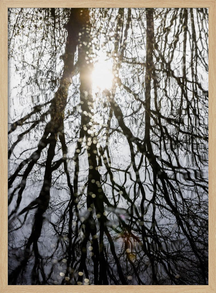 Winter Reflections 4 | Poster