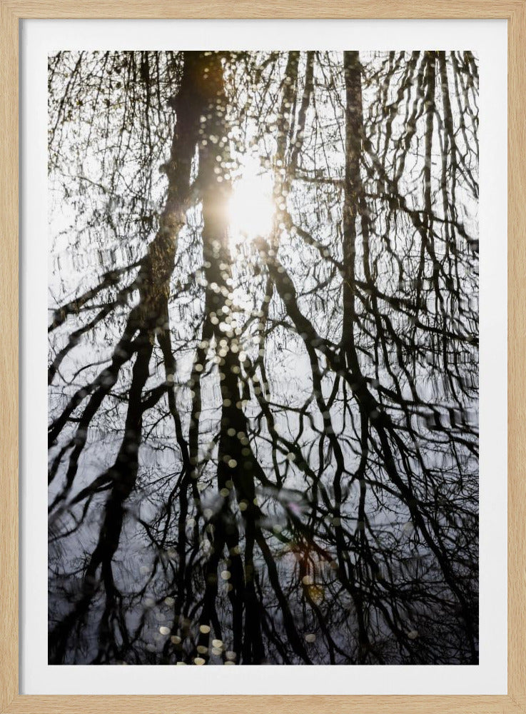 Winter Reflections 4 | Poster