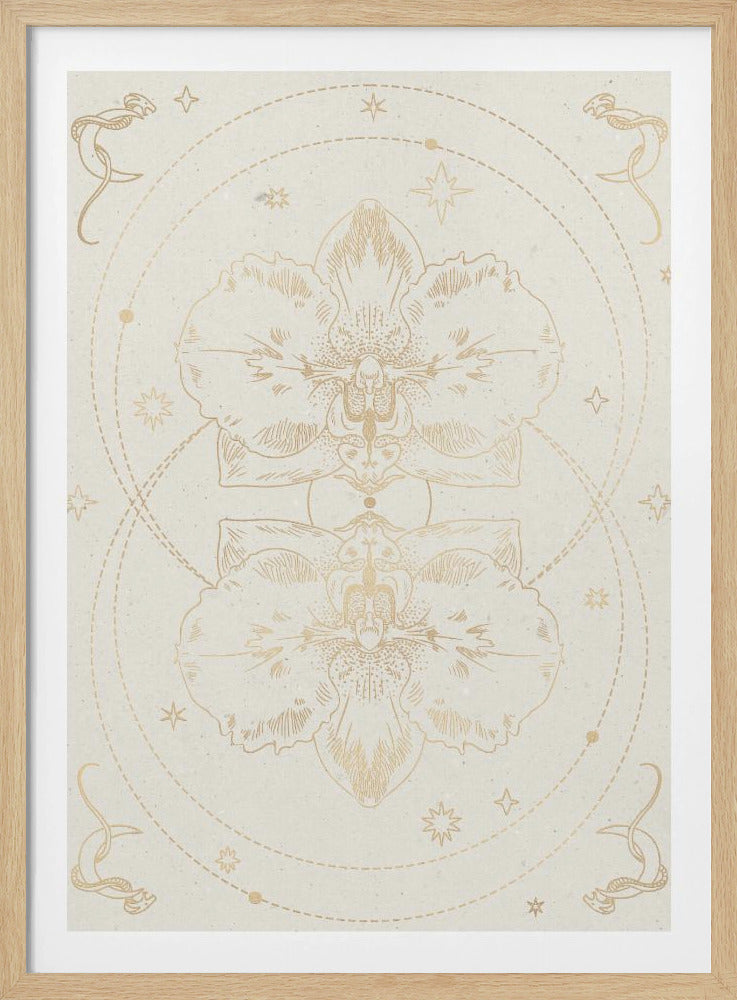 The mystical orchid | Poster