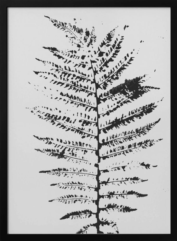 Ferns Iii | Poster