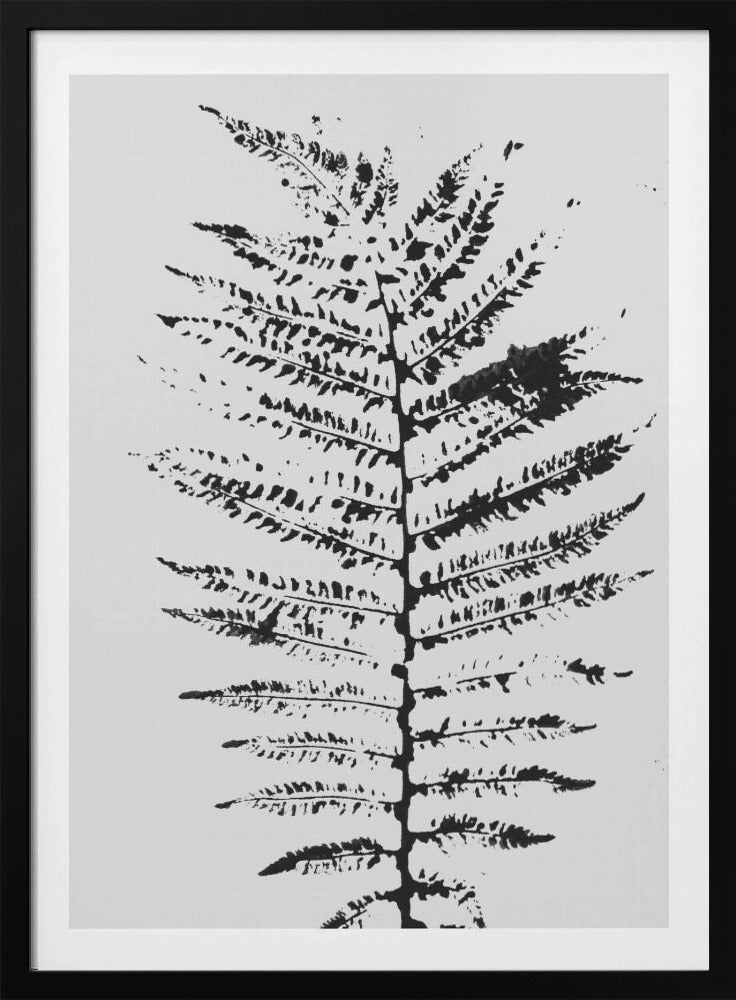 Ferns Iii | Poster