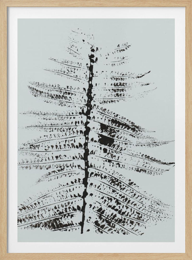 Ferns Ii | Poster