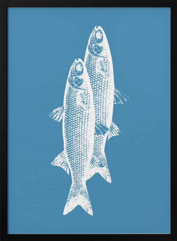 Pescados | Poster