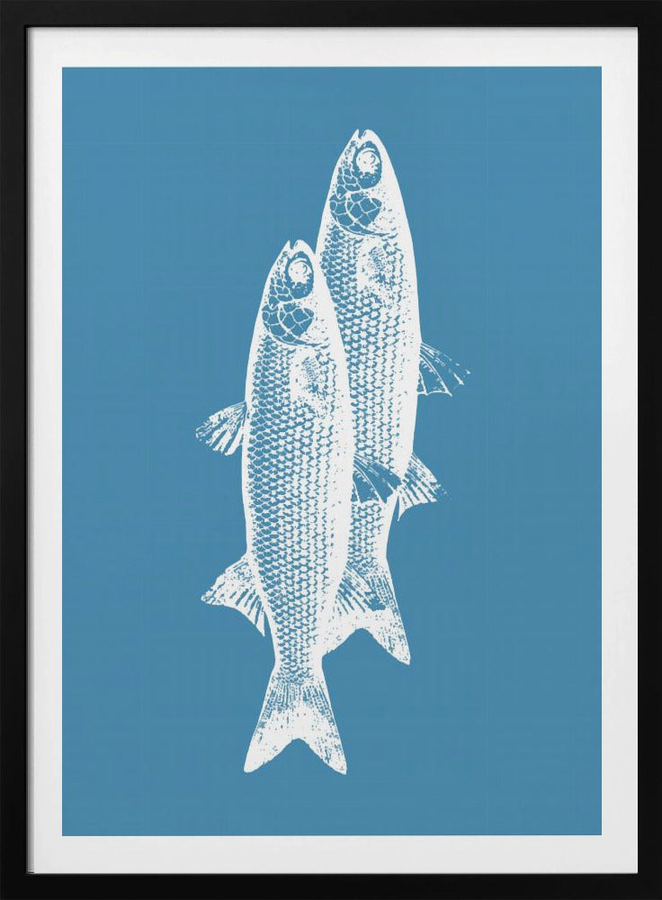 Pescados | Poster