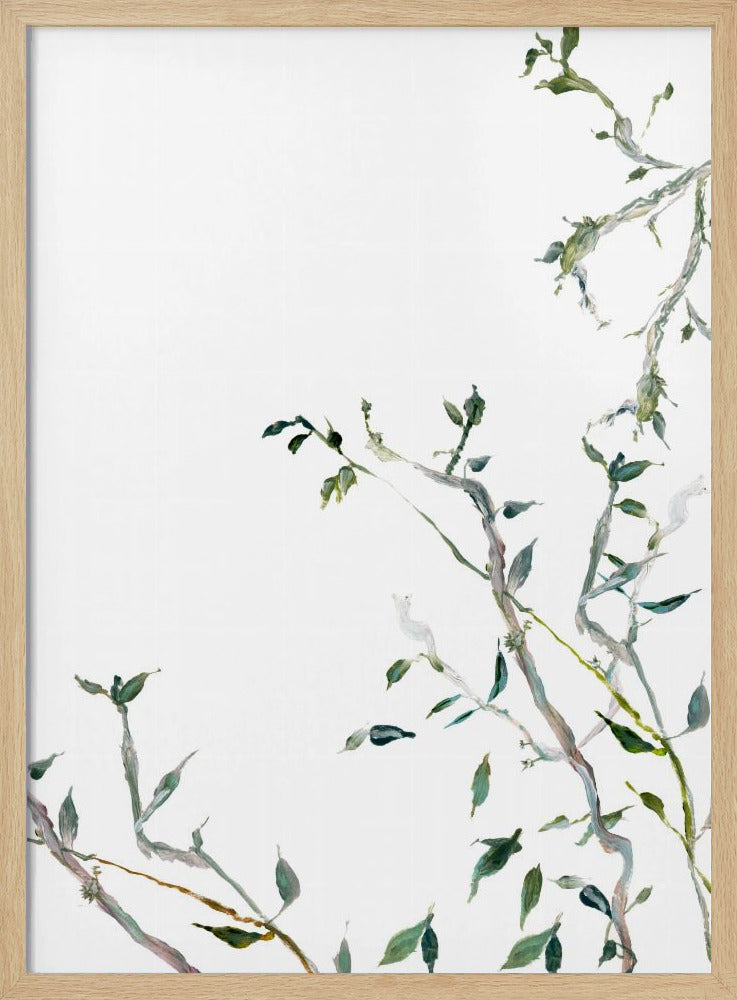 Botanical Branches No1 | Poster