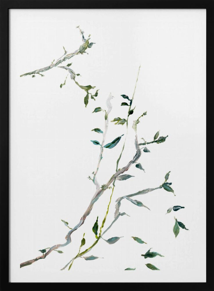 Botanical Branches No2 | Poster