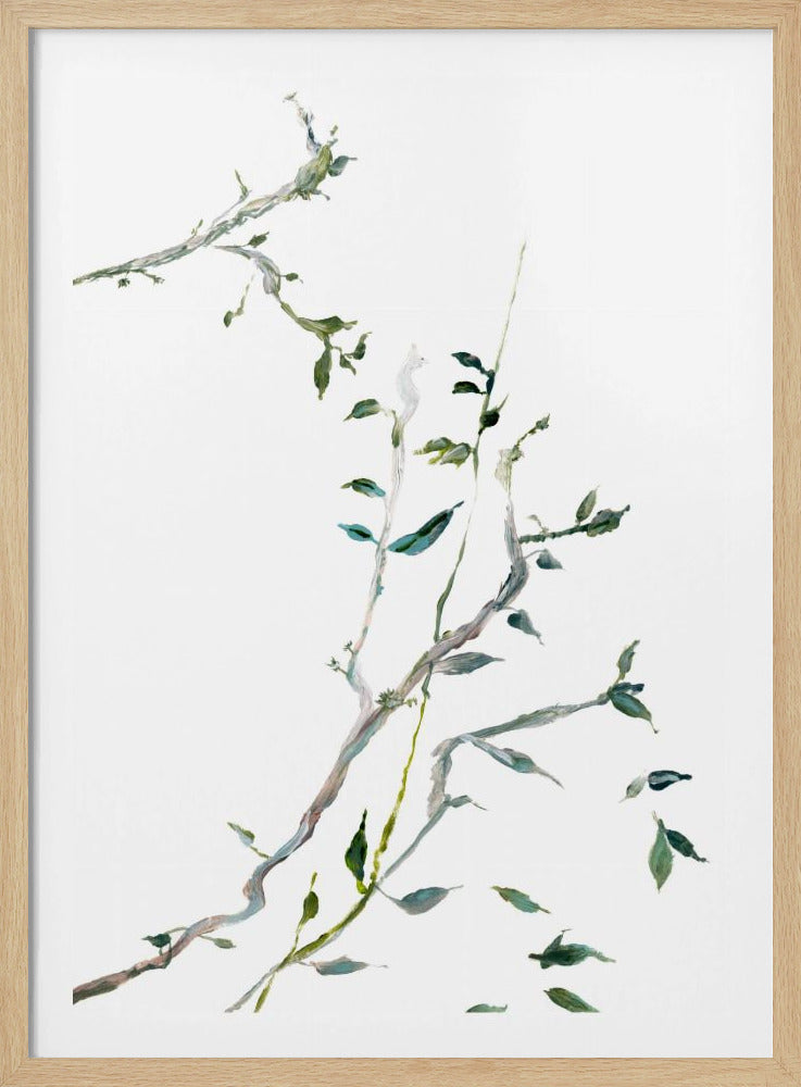 Botanical Branches No2 | Poster