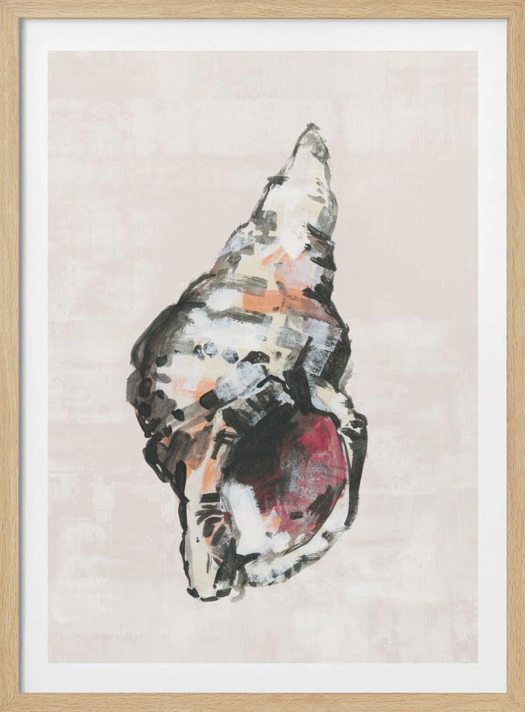 Shell Collector Art Print No 2 | Poster
