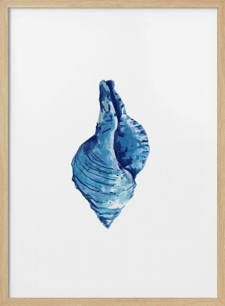 Blue Seashell On White Background No3 | Poster