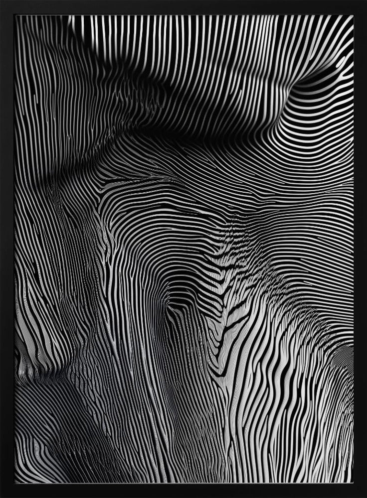 Zebra Flowform | Poster