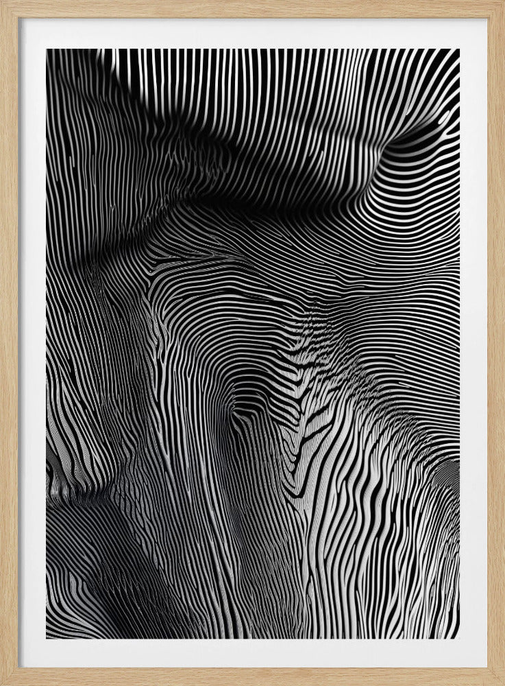 Zebra Flowform | Poster