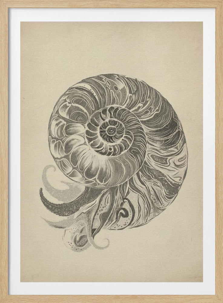 Project (20241106123057) | Poster