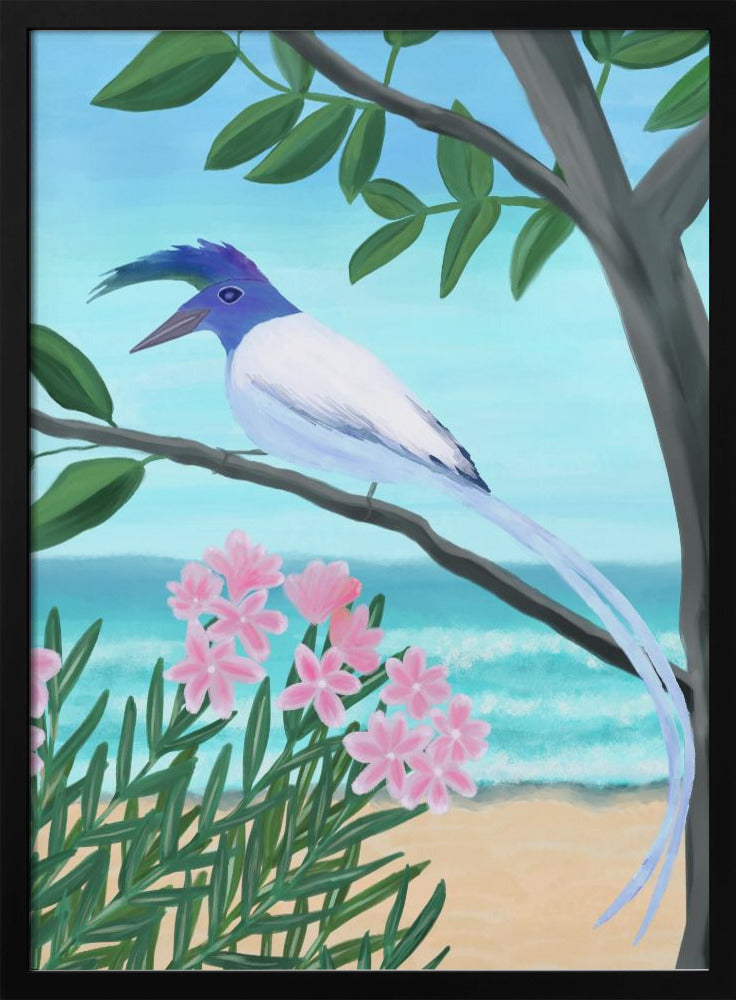 White-throated Magpie-Jay | Poster