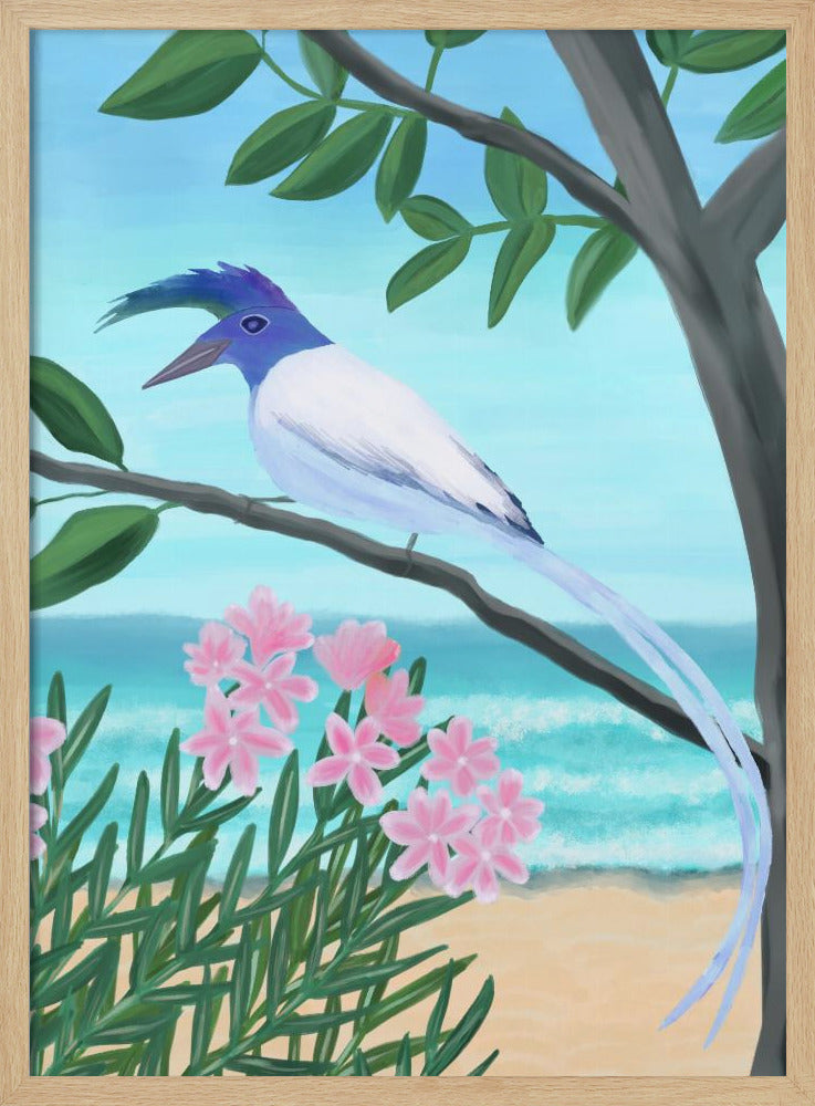 White-throated Magpie-Jay | Poster